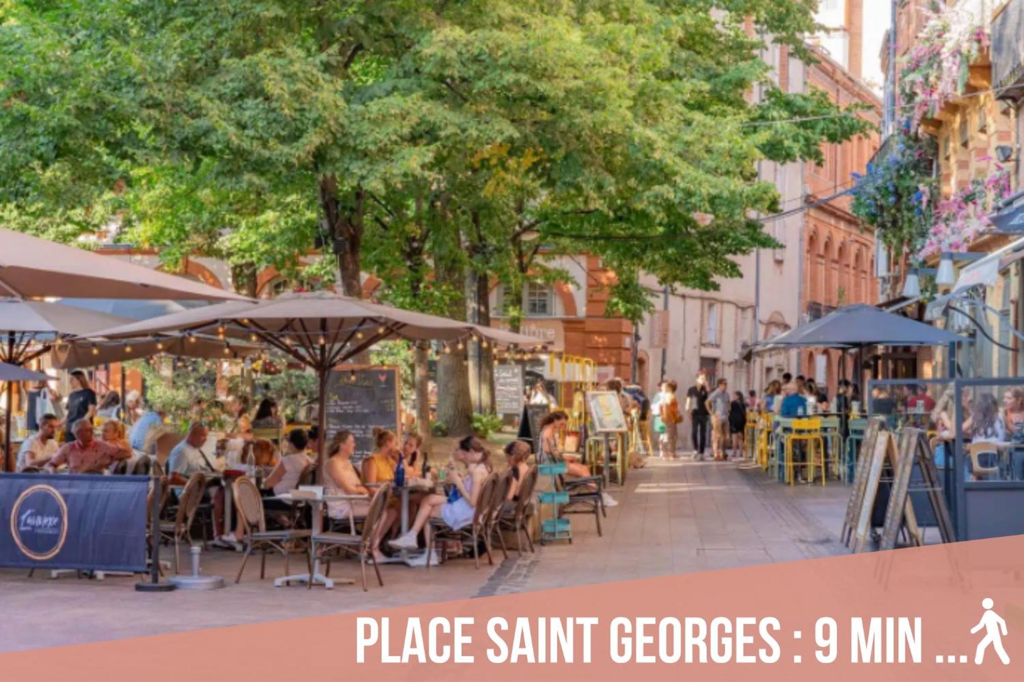 Chartreuse, Clim, Parking, Terrasse Au Calme Appartamento Tolosa